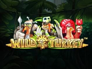 Wild Turkey game icon